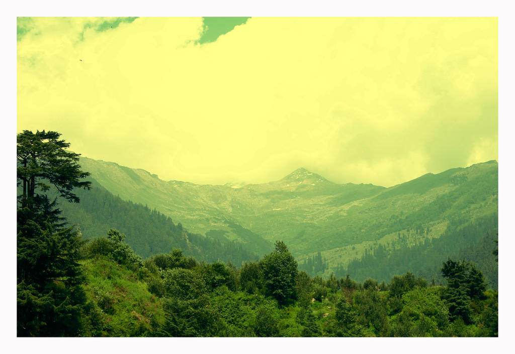 Bravia Hotel Manali Inn מראה חיצוני תמונה
